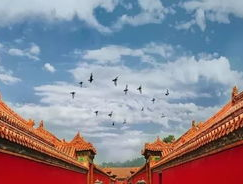 北京故宫门票：探索皇城根下的文化瑰宝