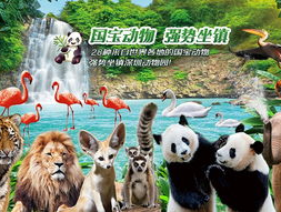 成都动物园门票大优惠！畅游动物王国，与可爱动物亲密接触！
