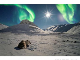 北极旅游,北极旅游：探索世界上最神秘的地方