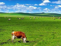 内蒙古旅游路线,建议：探秘内蒙古：一条绝美旅游路线，让你感受草原的魅力与风情